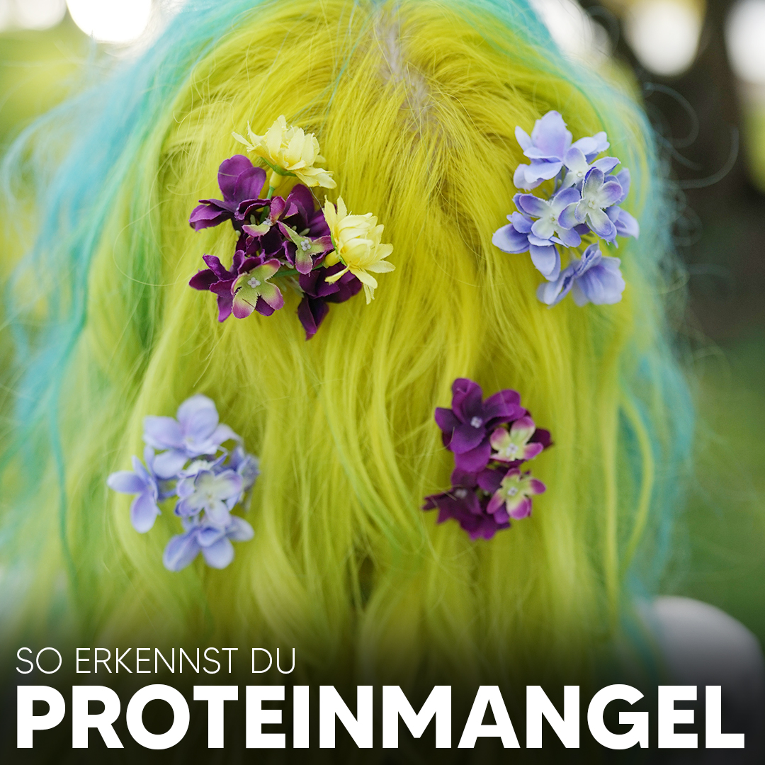 Proteinmangel_Blog