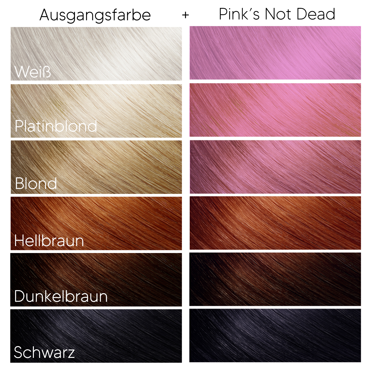 Headshot Pink's Not Dead Headshot Pink's Not Dead